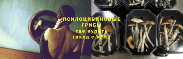 СК Алзамай